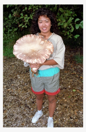 Organic Garden Giant Outdoor Mushrooms Kit - Grow King #1188513