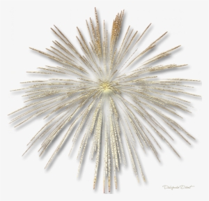 Tu Y Yo - Gold Fireworks Transparent Background #1188514