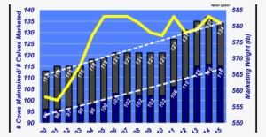 Long-run Cowherd Trends Show Fertility Is In The Crosshairs - Fertility #1189366