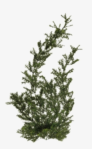 Breathings Of Your Heart #1190368