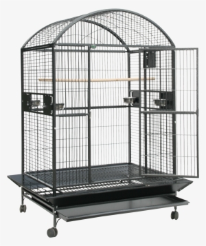 Bird Cage - Large Bird Cage #1190493