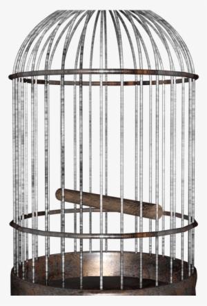 The Bird A Redemption - Bird In A Cage Png #1190609