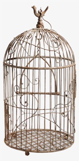 Free Png White Bird Cage Png Images Transparent - Птичья Клетка Png #1190668