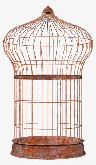 Free Png Bird Cage Png Images Transparent - Клетка Для Попугая Png #1190751