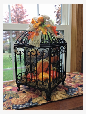 Ols Bird Cage - Cage #1190903