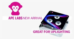 Apelight Maxi - Ape Labs Apelight Maxi #1191972