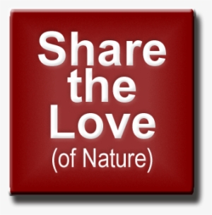 Share The Love Of Nature Button - Quit The Shit Get Fit #1192281