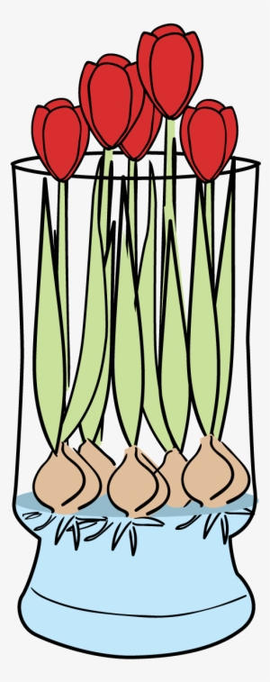 Tulips-faq - Bloomaker, Inc. #1194027