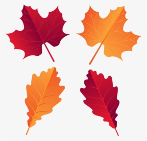 Canadian Leaf Png #1194804