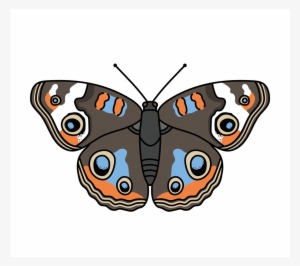 Klay Thompson Portrait Series - Common Buckeye #1196338