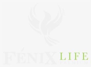 Add A Comment Cancelar Respuesta - Phantom's Revenge #1196691