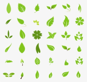 Free Vector Leaves #1197111