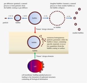 Nature And Bioinspired Bubble Design Elements - Design Process Bioinspired #1197143
