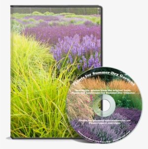 Cd Summer Dry - Plants And Landscapes For Summer-dry Climates #1197384