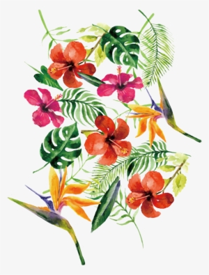Wedding Flowers Png - Brubaker Cosmetics Boules Effervescentes 6 Pièces Coffret #1198326