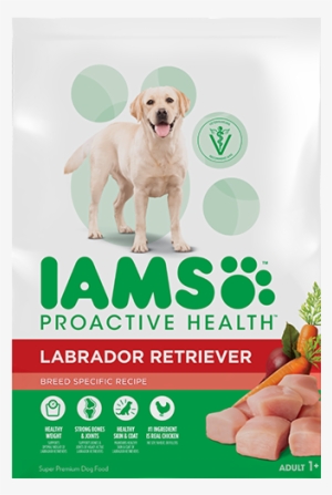 Proactive Health™adult Labrador Retriever Dry Dog Food #1198354