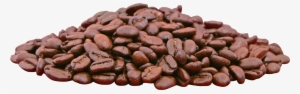 Cocoa Bean Clipart Transparent - Cocoa Beans Transparent #1199400