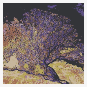 Earth Art From Nasa 51-100 37 Pages - Lena Delta #1199401