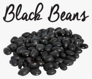 Free Png Black Beans Png Images Transparent - Velvet Bean In Urdu #1199690
