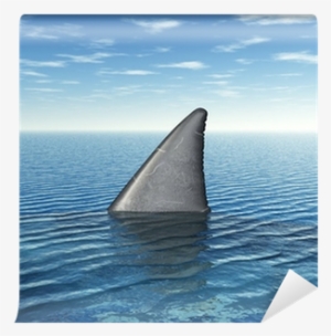 Shark Week: Everything You Need To Know #1199757