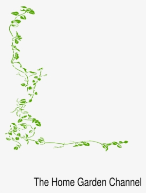 Jpg Transparent Library Green Vine Clip Art At Clker - Vine Border Transparent Background #1199895