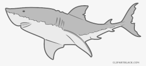 Clip Art Royalty Free Download Grey Shark Clipartblack - Animal Clip Art Shark #1199979