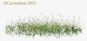 Here Is A Png Of Some Wildflowers/grass Etc On Transparent - Wild Flowers Png #120017