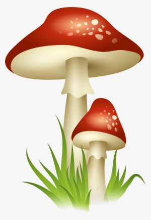 Mushrooms Drawing Enchanted - Mushroom Png #120194