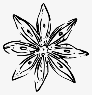 28 Collection Of White Flower Drawing Png - White Flower Outline Png #120637