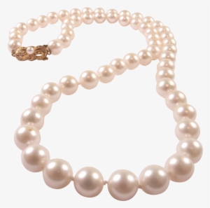 Strand Of Pearls Png - Transparent Background Pearls Png - Free ...