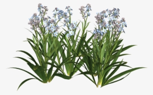 Garden Flowers Png Flower Vector Free Svg Freeuse Stock - ภาพ พื้น หลัง Powerpoint Hd #120976