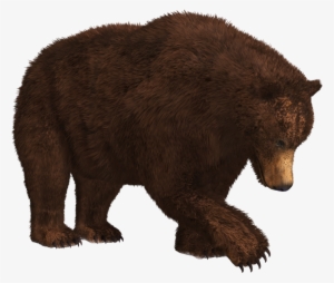 Bear Png Transparent Images #121179
