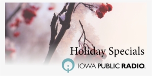 Celebrate The Holiday Season With Ipr - University Of Texas Medical Branch #121186