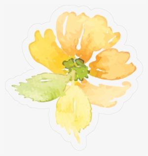 Image - Primula #121335