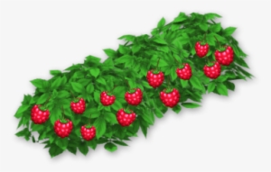 Raspberry Bush - Hay Day Berry Bush #121404
