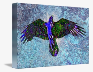 Raven Paint By Paul Hood - Farbrabe Auf Blau Karte #121617