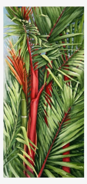 Sealing Wax Palm - Evergreen #121670