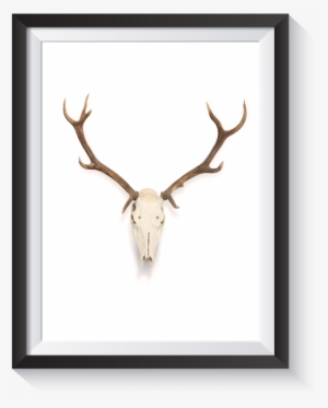 Antlers Watercolor Png Free Jpg Black And White Stock - Elk #121901