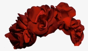 Graphic Library Library Stupid Bullshit My Edit - Red Flower Crown Transparent #122542