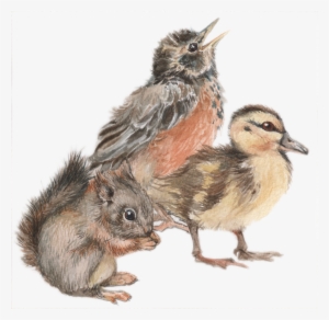 I Did Some Little Watercolors For The Invitation To - Lark #122586