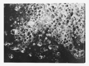 Bubbles Watercolor Black White Froth Canvas Print • - Watercolor Painting #124027