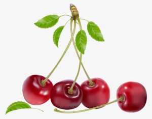 Cherry Png #124482
