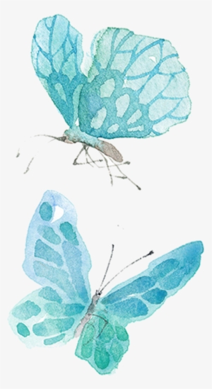 Ai Vector Watercolor Butterfly - Mariposa Azul Acuarela Png #124504