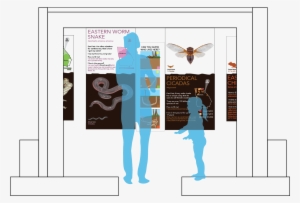 This Project Includes - Insect #124831