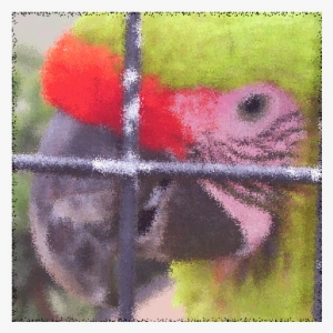 Scrawl Image Filters #124874