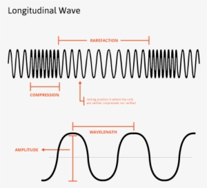 Draw A Diagram On The Board Of A Longitudinal Wave - Longitudinal Wave #125987