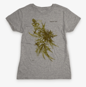 Cannabis Botanical Illustration Womens T-shirt - Came Out To Have A Good Time And I'm Honestly Feeling #126029