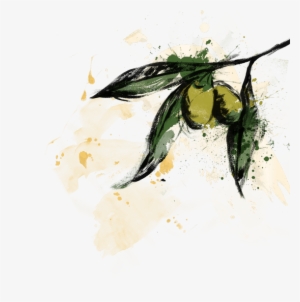 Olives - Portable Network Graphics #126094