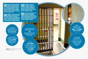 Click Here To Enlarge Infographic Above - Adx Florence #126490