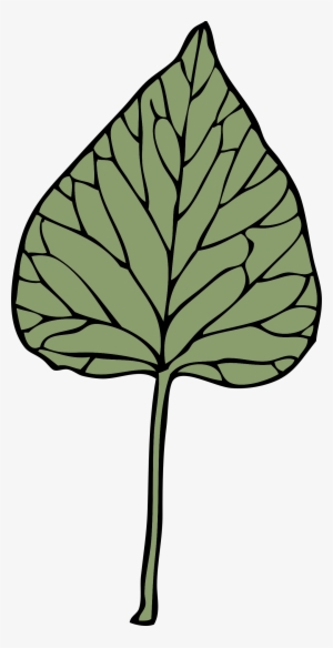This Free Icons Png Design Of Ivy Leaf 6 #126744
